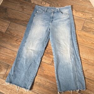 Ag Adriano Goldschmied Saige Wide Leg Crop with Panel in color Rosarito.